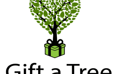 4homes Launches Tree Planting Scheme